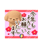 トイプードル「アプリコット」3D【冬】（個別スタンプ：32）