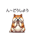 マイペースな気分屋ふとっちょ柴犬 許して（個別スタンプ：3）