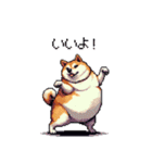 マイペースな気分屋ふとっちょ柴犬 許して（個別スタンプ：7）