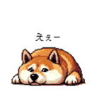 マイペースな気分屋ふとっちょ柴犬 許して（個別スタンプ：11）