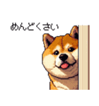 マイペースな気分屋ふとっちょ柴犬 許して（個別スタンプ：15）