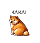 マイペースな気分屋ふとっちょ柴犬 許して（個別スタンプ：16）