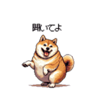 マイペースな気分屋ふとっちょ柴犬 許して（個別スタンプ：24）
