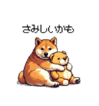 マイペースな気分屋ふとっちょ柴犬 許して（個別スタンプ：29）