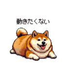 マイペースな気分屋ふとっちょ柴犬 許して（個別スタンプ：30）