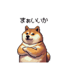 マイペースな気分屋ふとっちょ柴犬 許して（個別スタンプ：31）