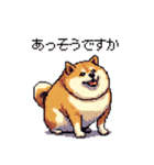 マイペースな気分屋ふとっちょ柴犬 許して（個別スタンプ：32）