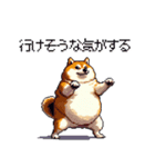 マイペースな気分屋ふとっちょ柴犬 許して（個別スタンプ：33）