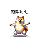 マイペースな気分屋ふとっちょ柴犬 許して（個別スタンプ：35）