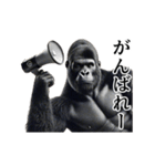 【テキトー】イケメンゴリラ（個別スタンプ：8）