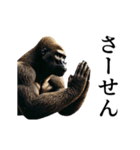 【テキトー】イケメンゴリラ（個別スタンプ：22）