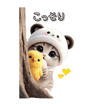 パンダ帽が可愛い猫 毎日使える 敬語 BIG（個別スタンプ：13）