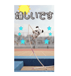 パンダ帽が可愛い猫 毎日使える 敬語 BIG（個別スタンプ：16）