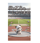 パンダ帽が可愛い猫 毎日使える 敬語 BIG（個別スタンプ：21）