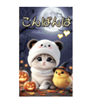 パンダ帽が可愛い猫 毎日使える 敬語 BIG（個別スタンプ：27）