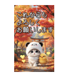 パンダ帽が可愛い猫 毎日使える 敬語 BIG（個別スタンプ：28）