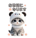 パンダ帽が可愛い猫 毎日使える 敬語 BIG（個別スタンプ：29）