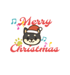 黒柴犬ちゃんのクリスマススタンプ（個別スタンプ：1）