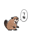 しゃべるビーバー（個別スタンプ：2）