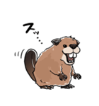 しゃべるビーバー（個別スタンプ：5）