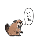 しゃべるビーバー（個別スタンプ：7）