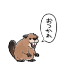 しゃべるビーバー（個別スタンプ：10）