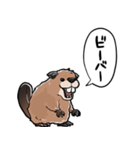 しゃべるビーバー（個別スタンプ：11）