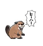 しゃべるビーバー（個別スタンプ：12）