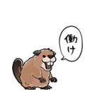 しゃべるビーバー（個別スタンプ：17）