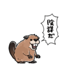 しゃべるビーバー（個別スタンプ：22）