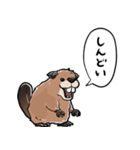 しゃべるビーバー（個別スタンプ：23）