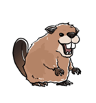 しゃべるビーバー（個別スタンプ：27）