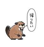 しゃべるビーバー（個別スタンプ：29）