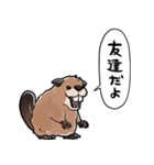 しゃべるビーバー（個別スタンプ：31）