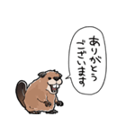 しゃべるビーバー（個別スタンプ：33）