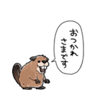 しゃべるビーバー（個別スタンプ：36）