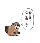 しゃべるビーバー（個別スタンプ：37）