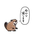 しゃべるビーバー（個別スタンプ：39）