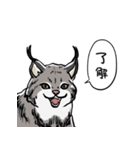 しゃべるヤマネコ（個別スタンプ：2）