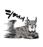 しゃべるヤマネコ（個別スタンプ：3）