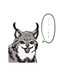 しゃべるヤマネコ（個別スタンプ：4）