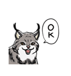 しゃべるヤマネコ（個別スタンプ：6）