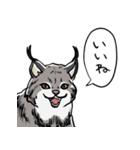 しゃべるヤマネコ（個別スタンプ：7）