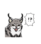 しゃべるヤマネコ（個別スタンプ：8）