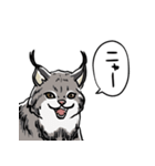 しゃべるヤマネコ（個別スタンプ：11）