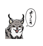 しゃべるヤマネコ（個別スタンプ：12）