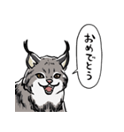 しゃべるヤマネコ（個別スタンプ：15）