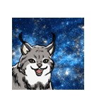 しゃべるヤマネコ（個別スタンプ：16）