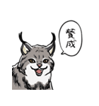 しゃべるヤマネコ（個別スタンプ：18）