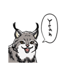しゃべるヤマネコ（個別スタンプ：19）